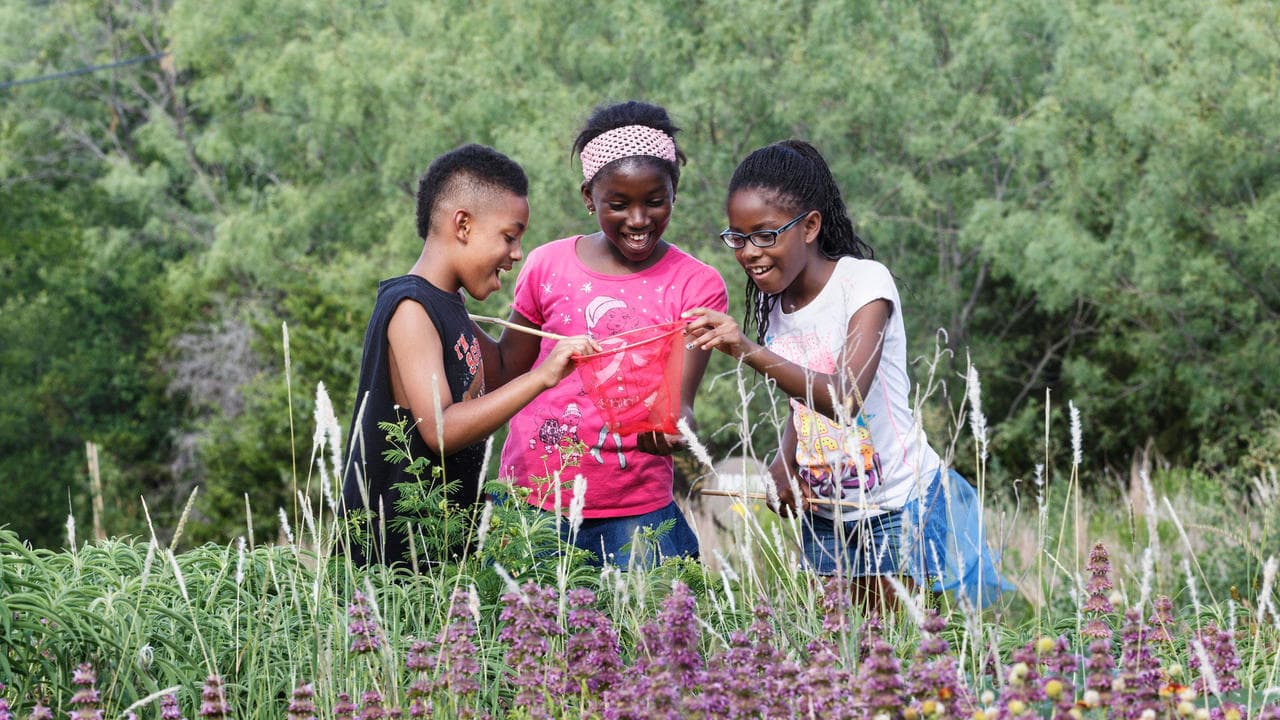 From Backyard Birds to Distant Galaxies: A Deep Dive into Citizen Science